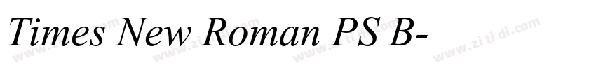 Times New Roman PS B字体转换